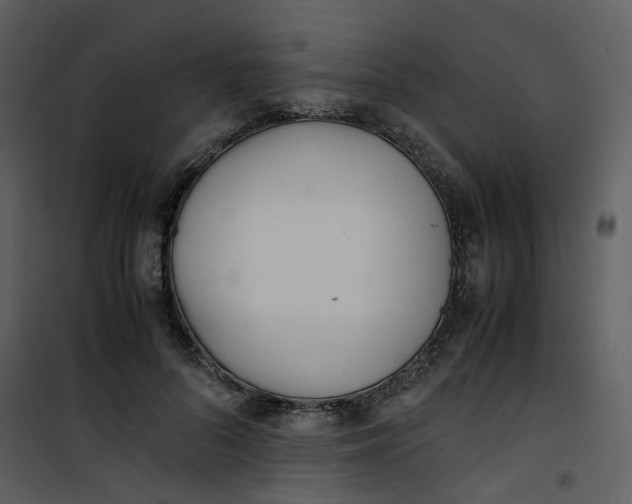 X0000101190696200807181511