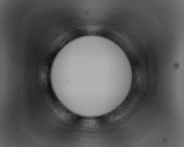 X0000101190698200807181511