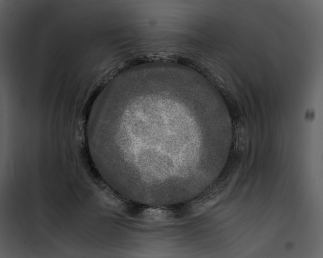 X0000101190699200807181511