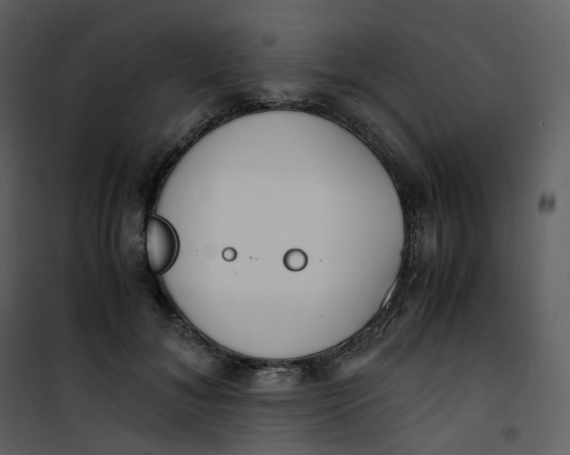 X0000101190700200807181511