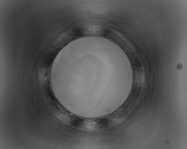 X0000101190701200807181511
