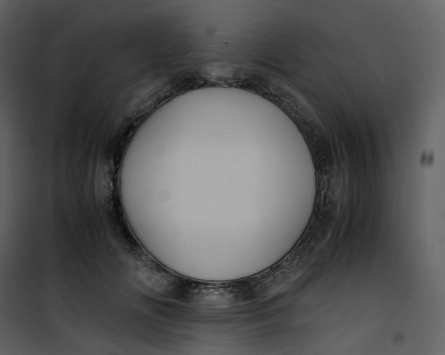 X0000101190702200807181511
