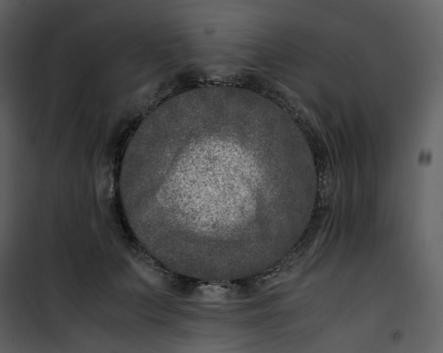 X0000101190703200807181511