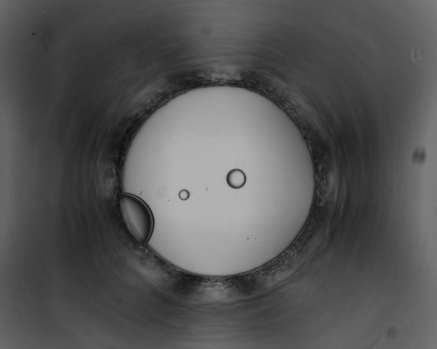 X0000101190704200807181511