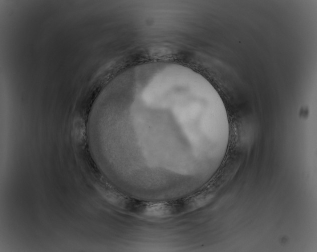 X0000101190705200807181511