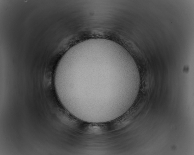 X0000101190706200807181511