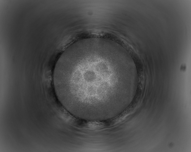 X0000101190707200807181511