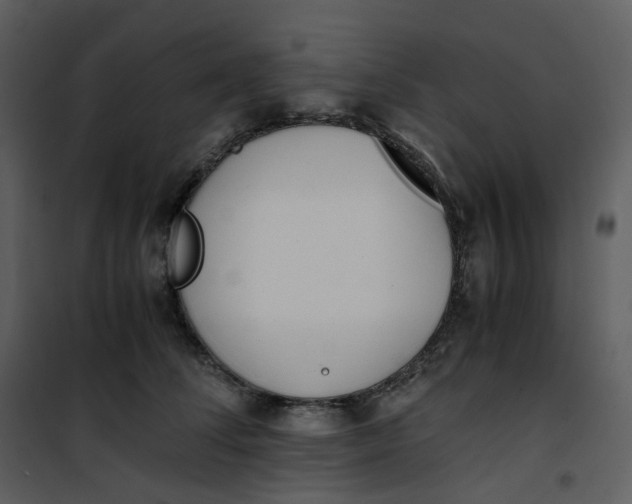 X0000101190708200807181511