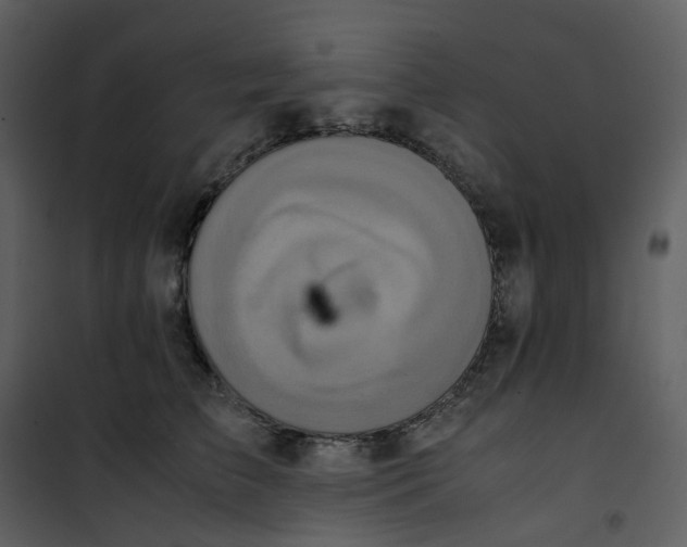 X0000101190709200807181511