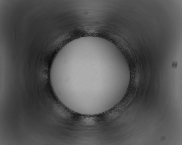 X0000101190710200807181511