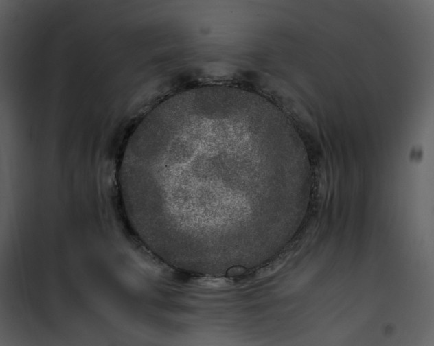 X0000101190711200807181511