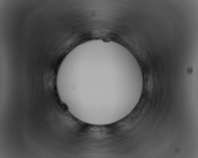 X0000101190712200807181511
