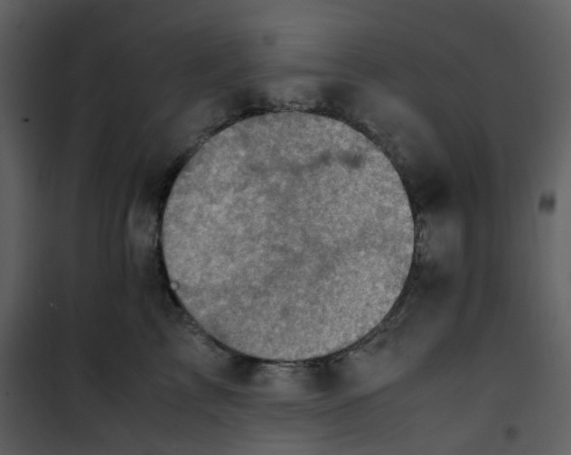 X0000101190713200807181511
