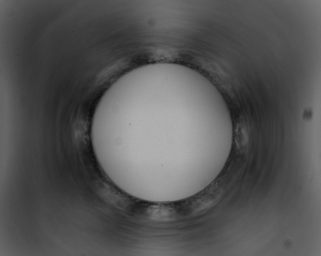X0000101190714200807181511