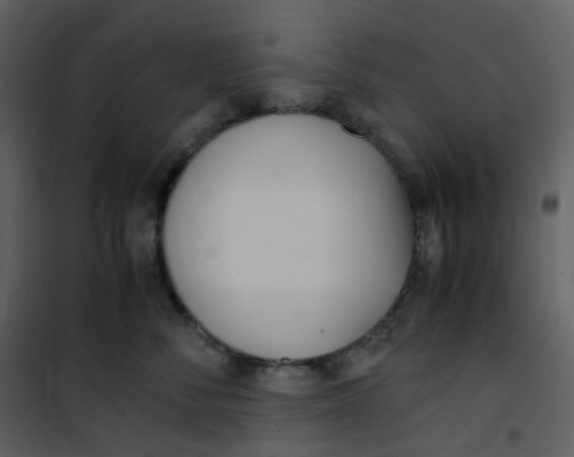 X0000101190716200807181511
