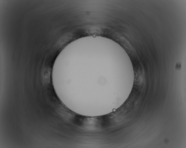 X0000101190717200807181511