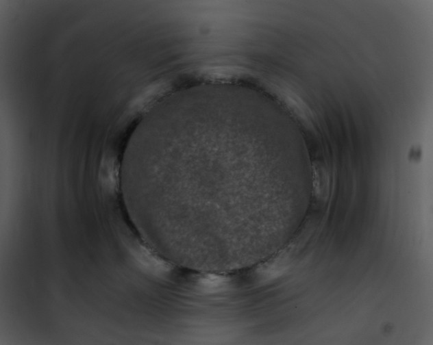 X0000101190718200807181511