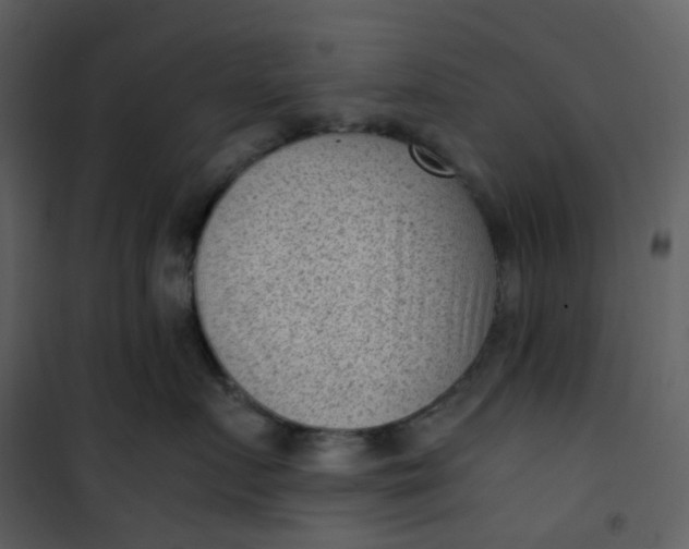 X0000101190719200807181511