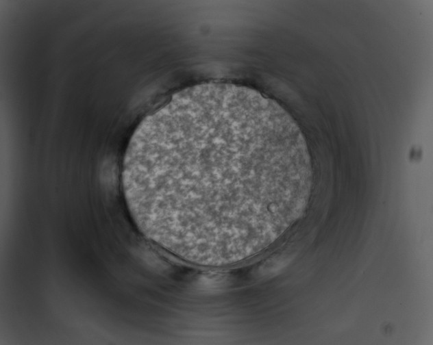 X0000101190720200807181511