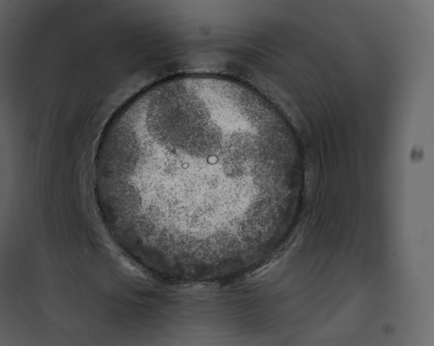 X0000101190721200807181510