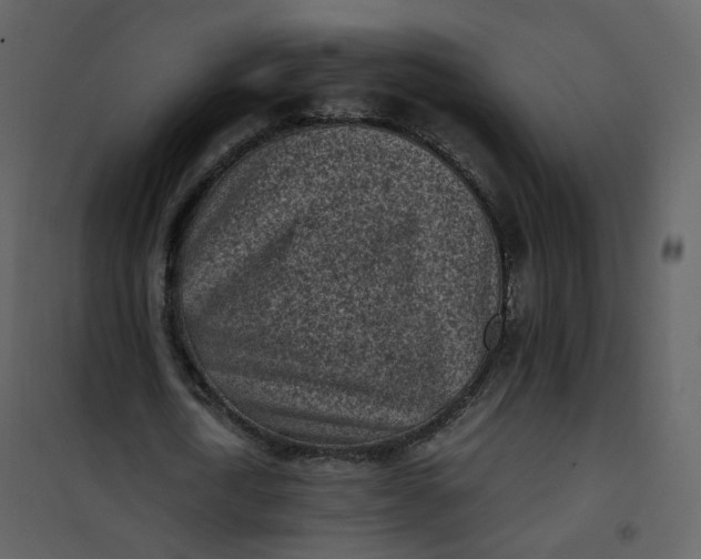 X0000101190722200807181510