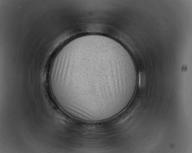 X0000101190723200807181510