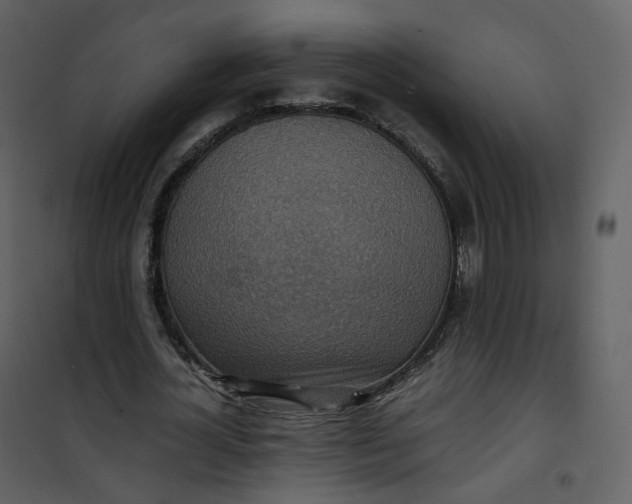 X0000101190724200807181510