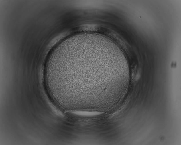 X0000101190725200807181510