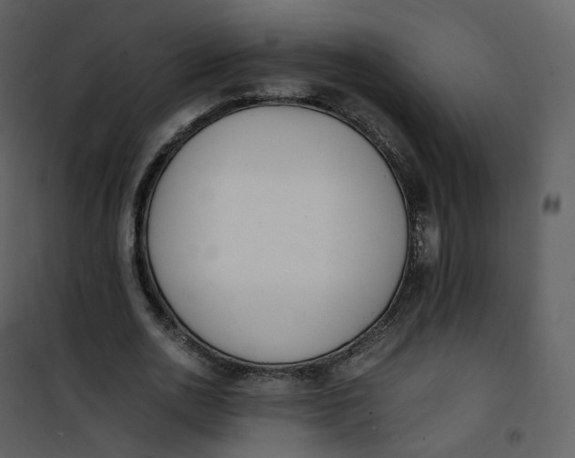 X0000101190726200807181510