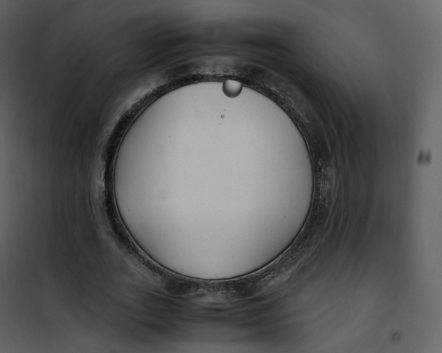 X0000101190727200807181511