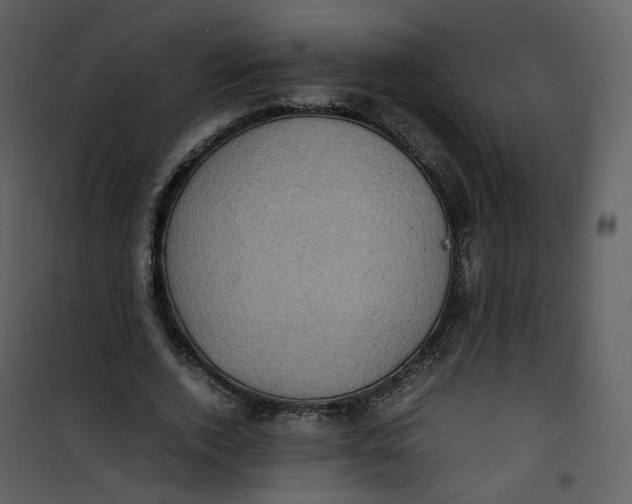 X0000101190728200807181511