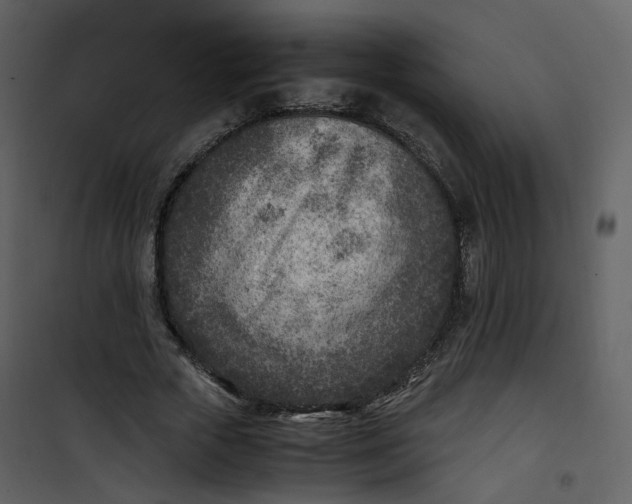 X0000101190729200807181511