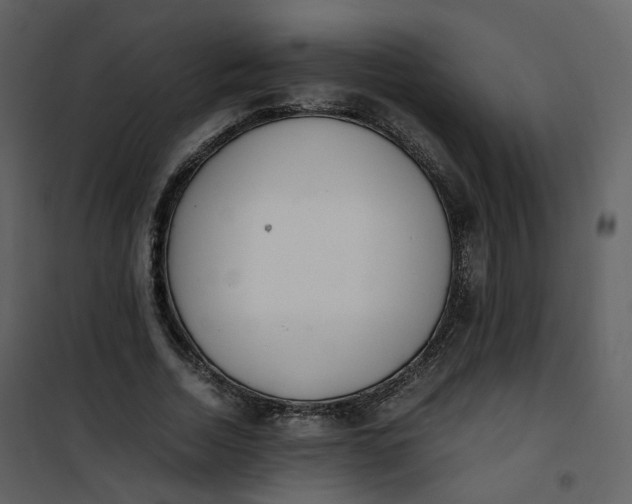 X0000101190730200807181511