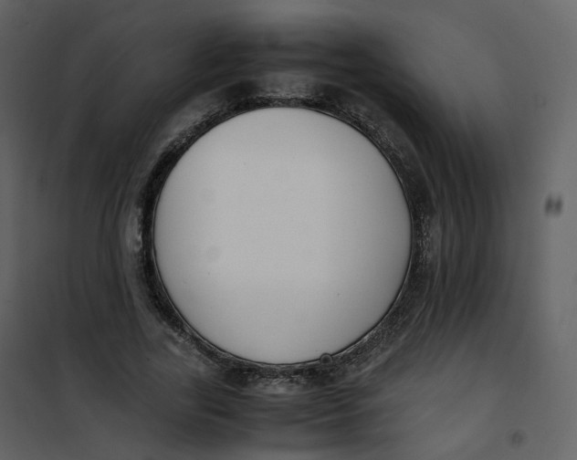 X0000101190731200807181511