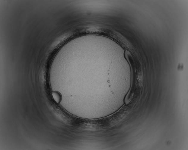 X0000101190732200807181511