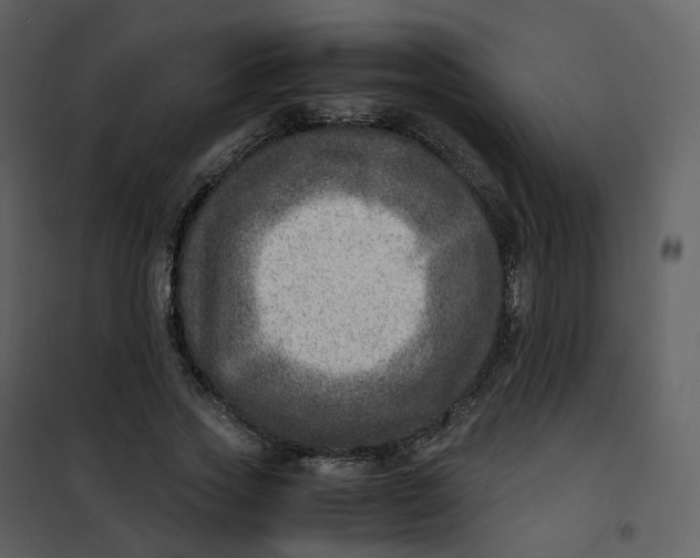X0000101190733200807181511