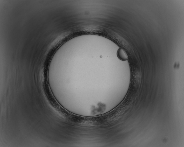 X0000101190734200807181511