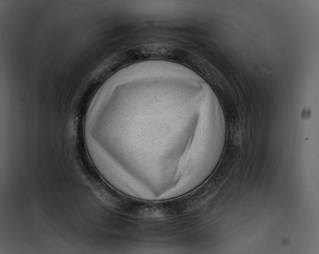 X0000101190735200807181511