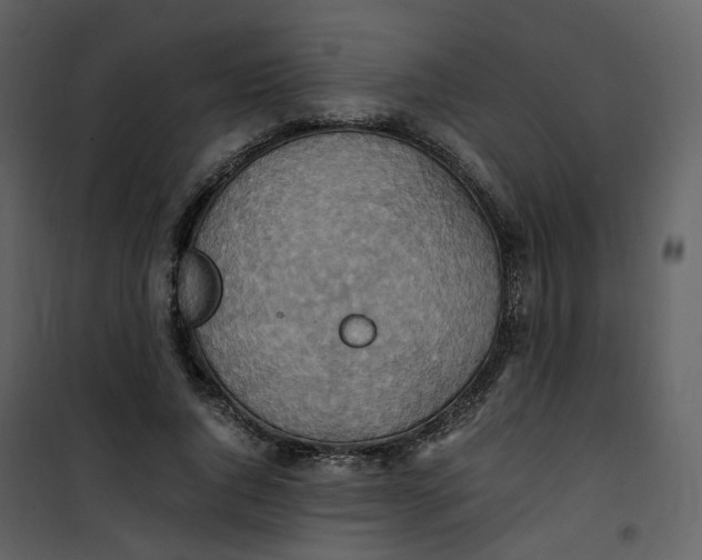X0000101190736200807181511