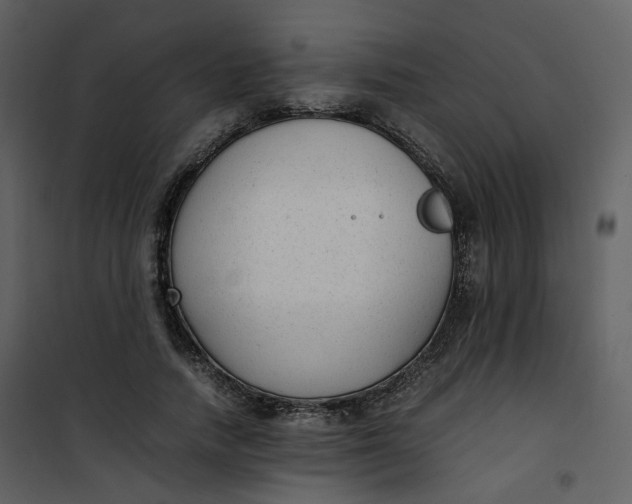 X0000101190738200807181511