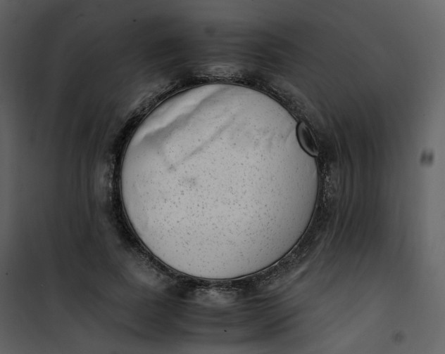 X0000101190739200807181511
