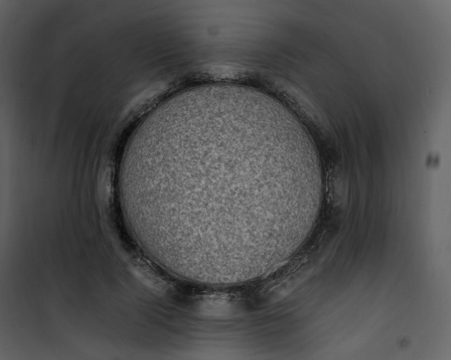 X0000101190740200807181511