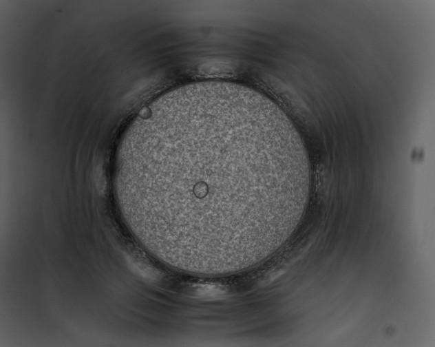 X0000101190741200807181511