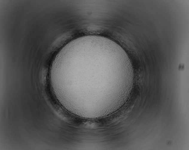 X0000101190742200807181511
