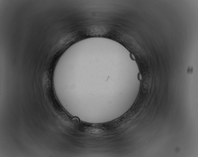 X0000101190743200807181511
