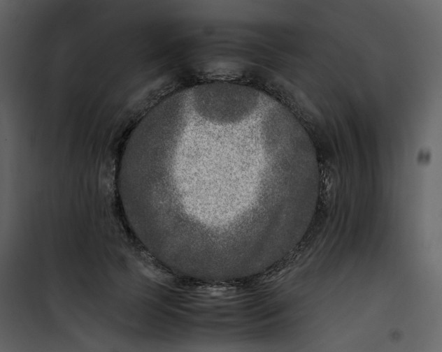X0000101190745200807181511