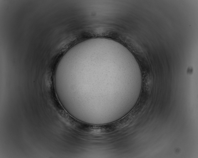 X0000101190746200807181511
