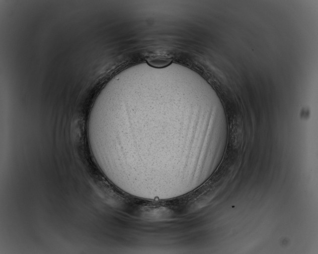 X0000101190747200807181511