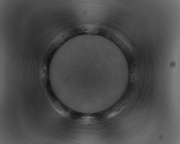 X0000101190748200807181511