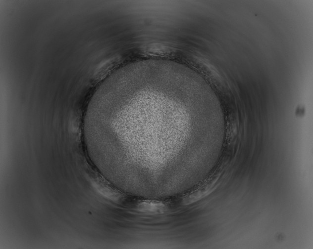 X0000101190749200807181511